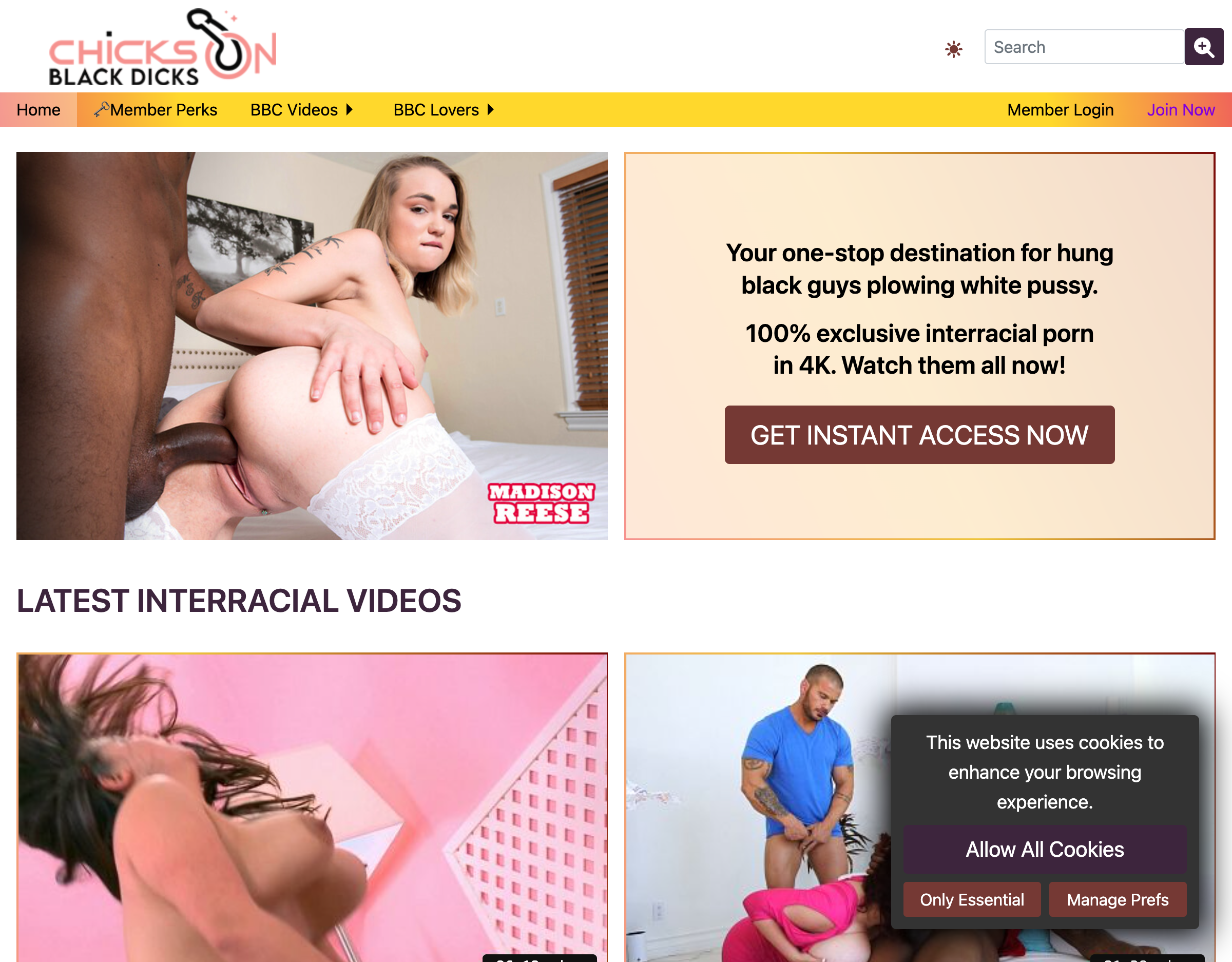 Chicks on Black Dicks