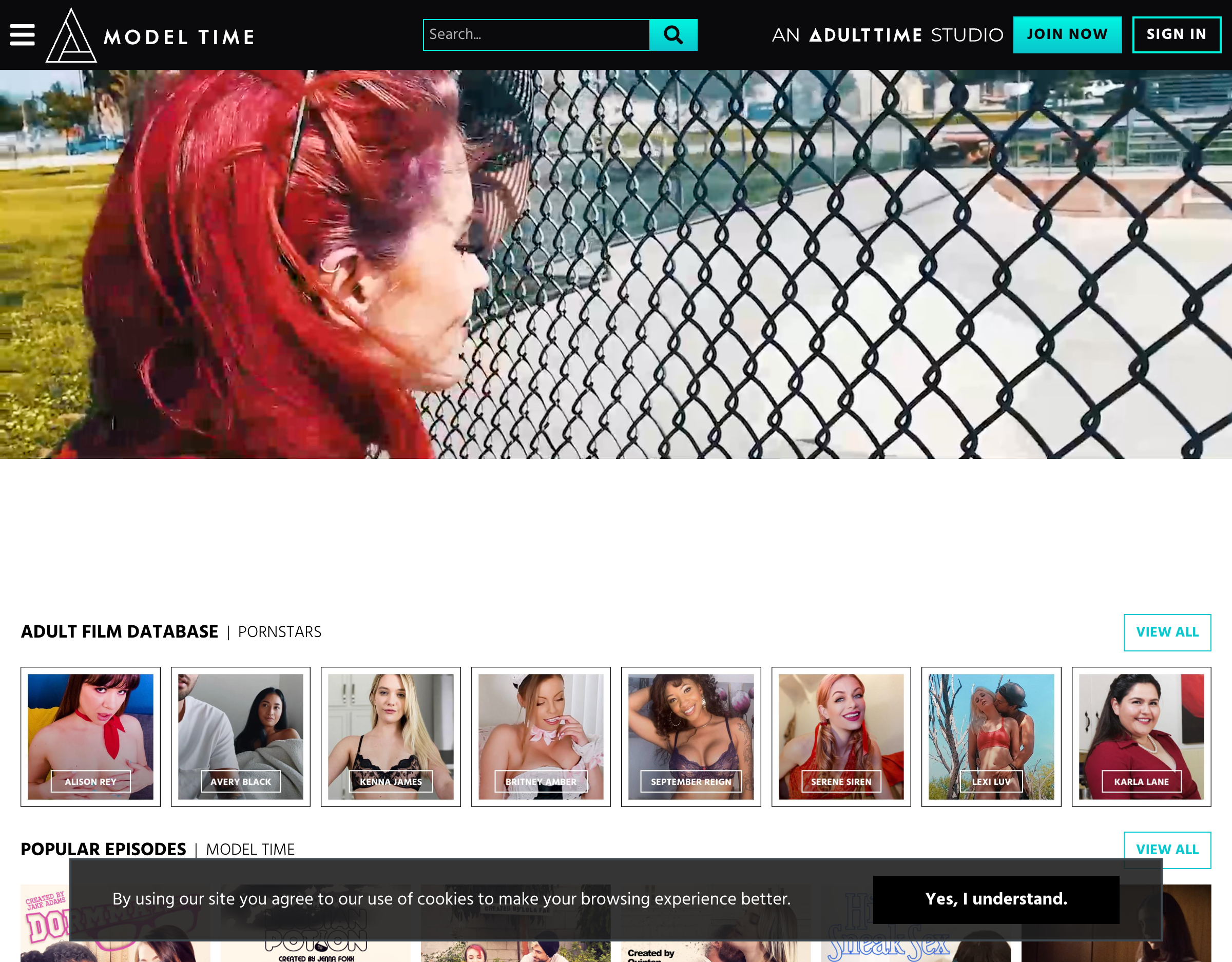 Model Time - Desktop Screenshot